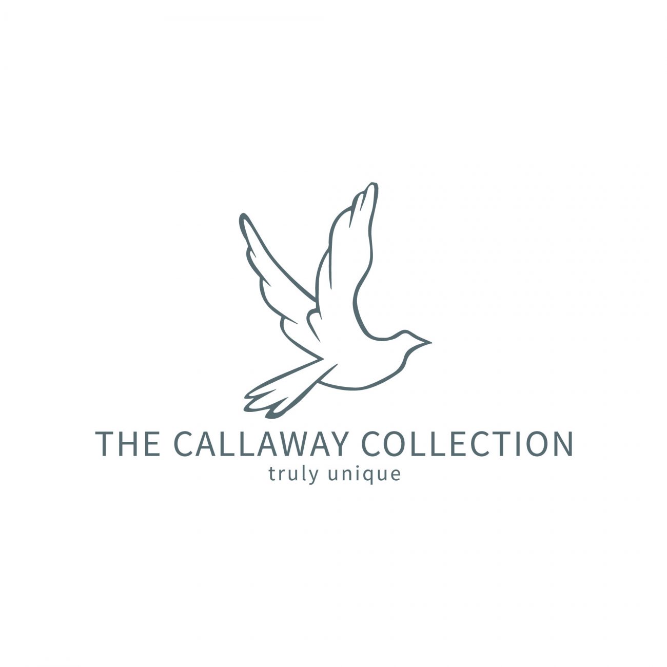 Home | The Callaway Collection by Hollis Callaway